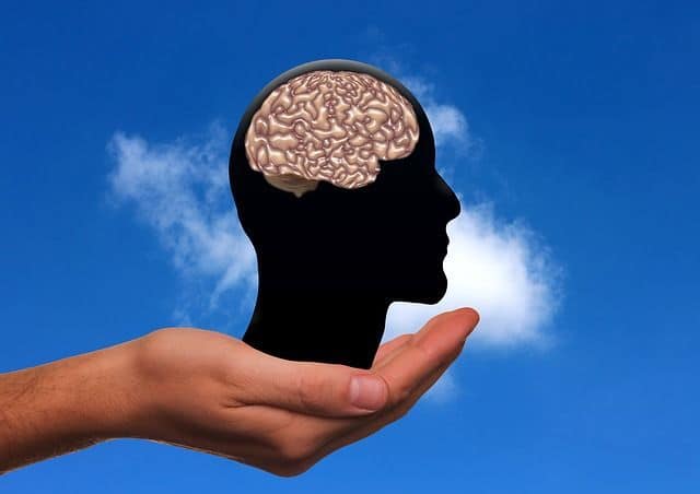 Smoothies can boost your brain Smoothies can boost your brain