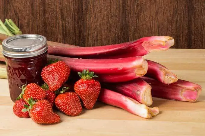 Strawberry Rhubarb Smoothie Strawberry Rhubarb Smoothie