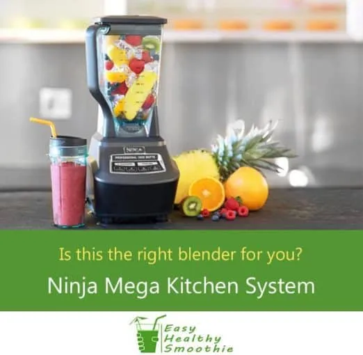  Ninja Mega Kitchen System (BL771) : Home & Kitchen